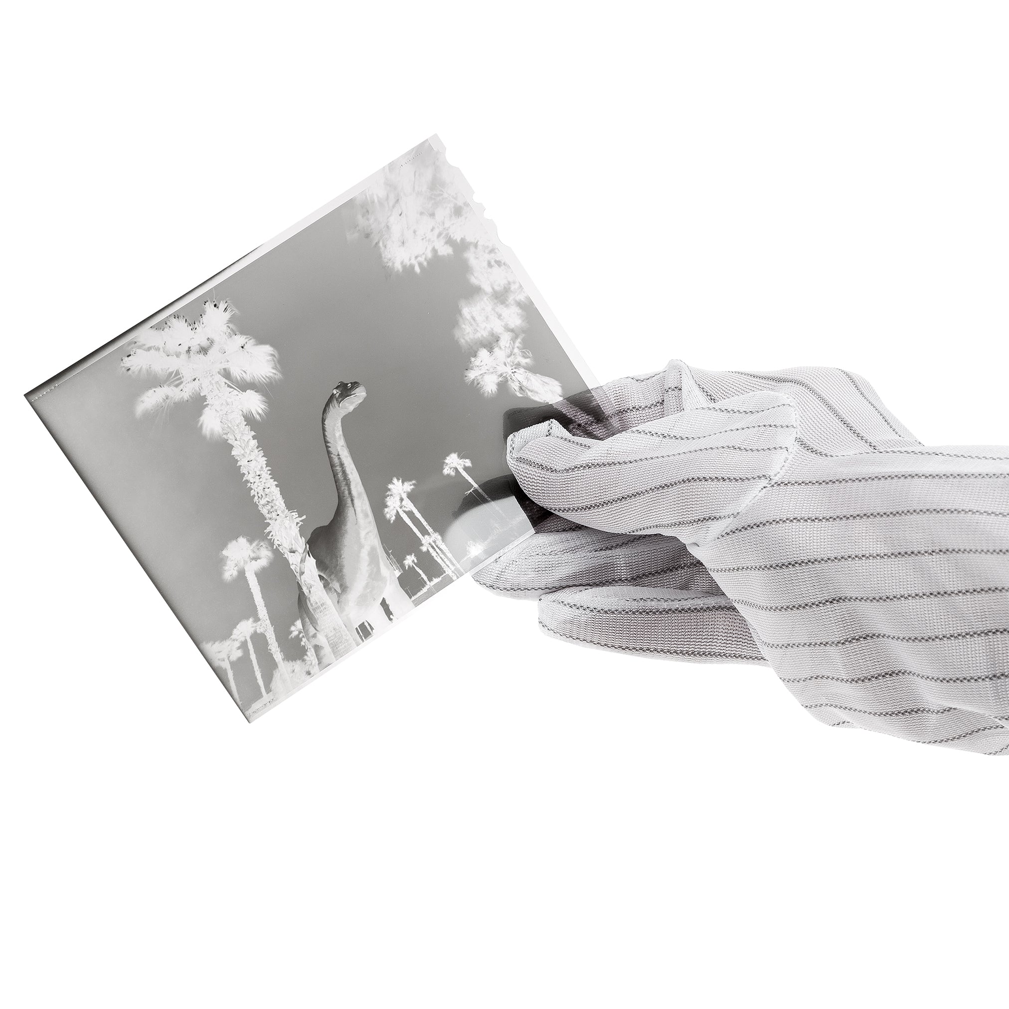 Antistatic Gloves (one size)