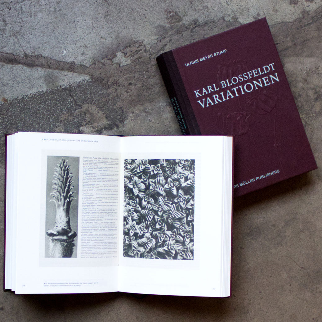 Karl Blossfeldt: Variationen