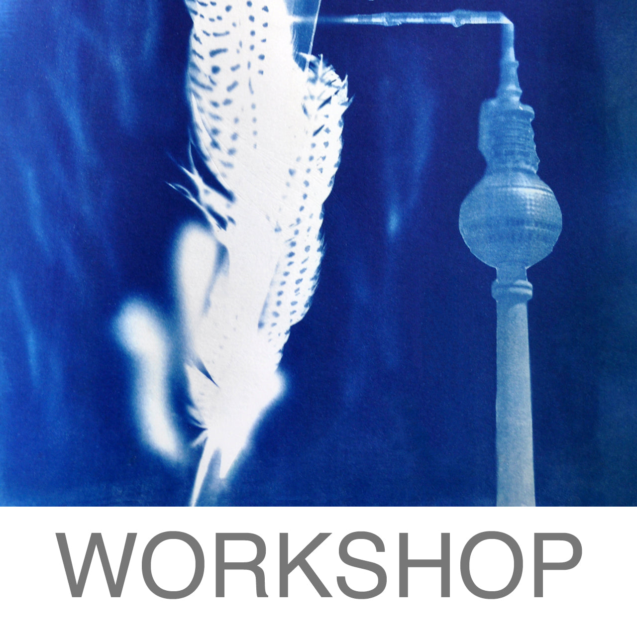 Workshop - Cyanotypie Einsteigerkurs (Berlin)