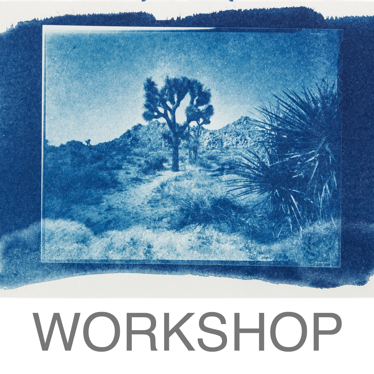 Workshop - Cyanotype intensive course (Kalletal NRW)