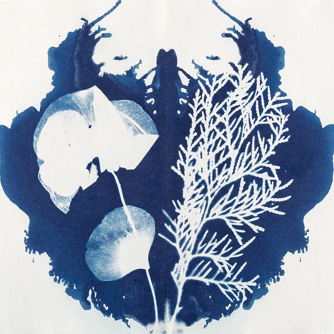 Workshop - Cyanotype intensive course (Kalletal NRW)