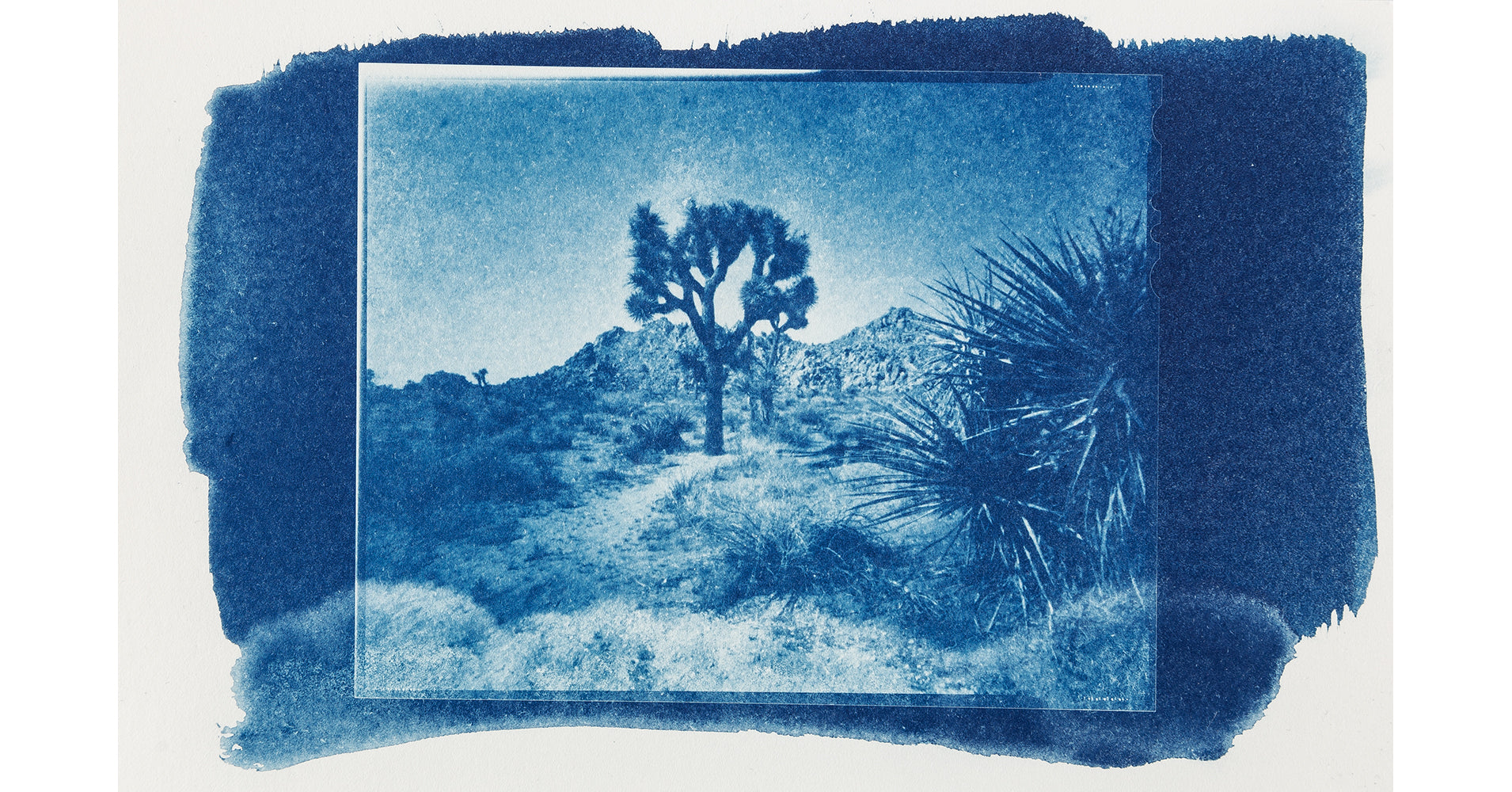 Workshop - Cyanotype intensive course (Kalletal NRW)