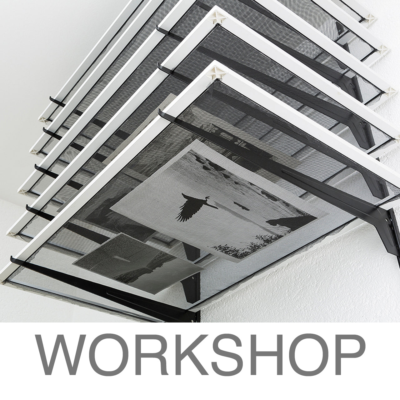 Workshop - Enlargement on baryta paper (Kalletal NRW)